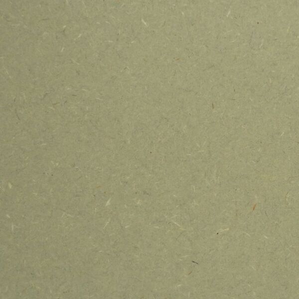 CG23000021 KAKI.600.jpg